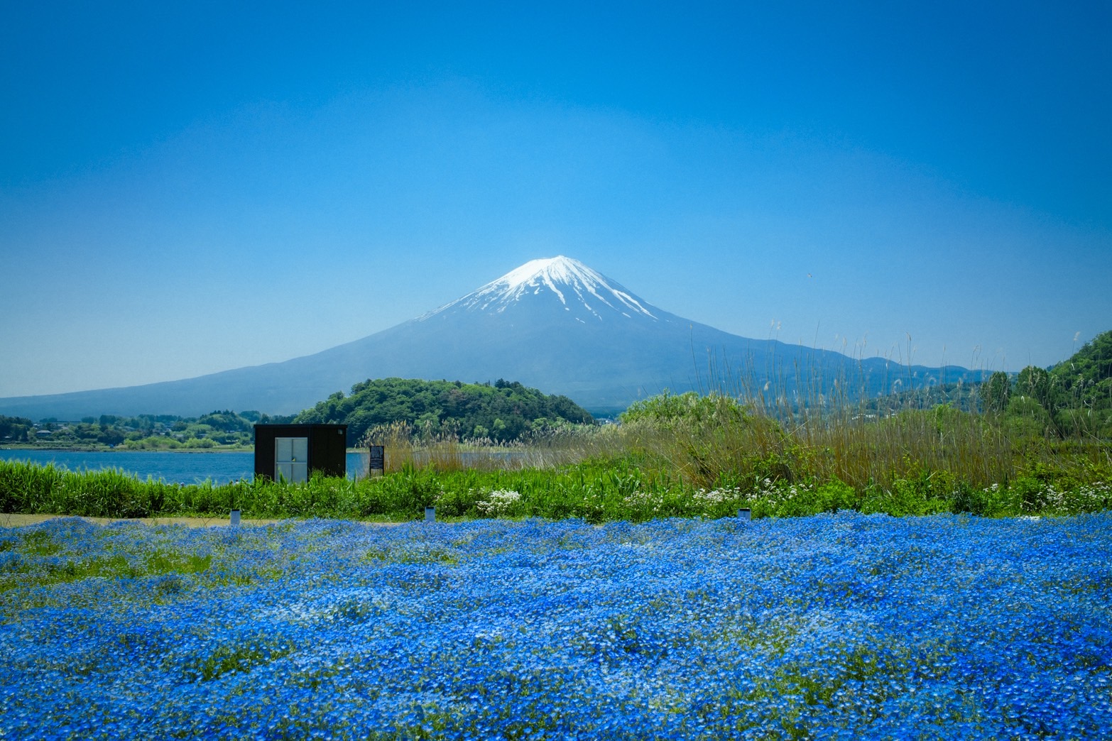 Mountain landscape on a sunny day